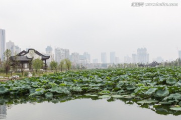 武汉沙湖公园