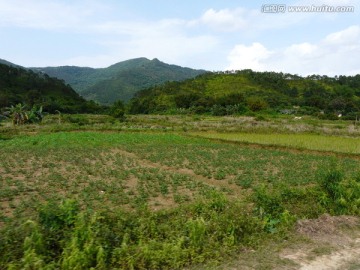 田地