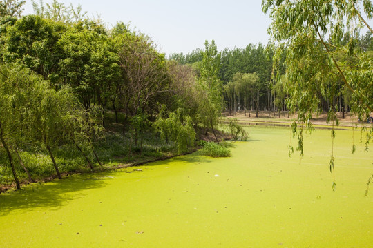 顺义湿地公园