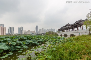 武汉沙湖公园廊桥