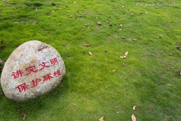 绿地草地