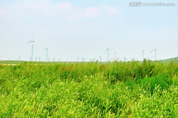 草原