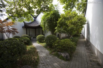 南京总统府花园