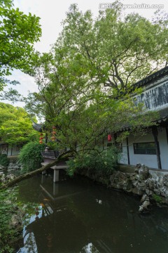 苏州同里园林退思园