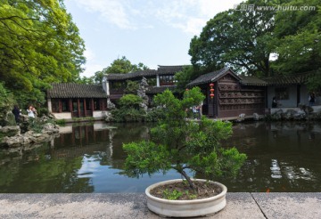 盆景