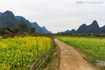 广西阳朔田园