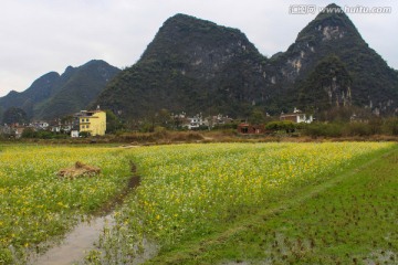 广西阳朔田园