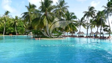 游泳池  棕榈树  马尔代夫