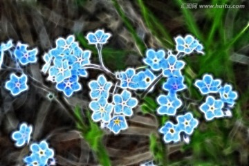 抽象花朵 电脑画