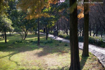 五泄风景区