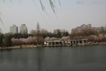 玉渊潭公园