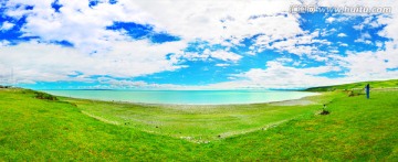 蓝天绿草岸边远望碧蓝青海湖全景