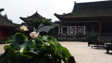 寺院莲花