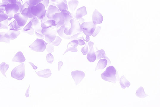 花瓣