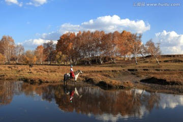 坝上风光 三拐子沟 白桦树