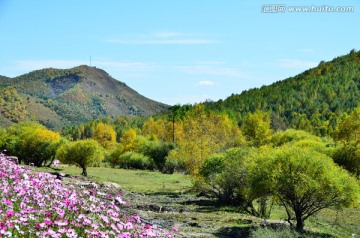 木兰围场附近景观