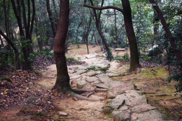 绍兴东湖