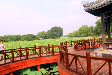 圆明园 观花台