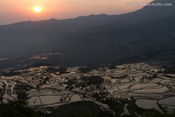 多依树梯田日出