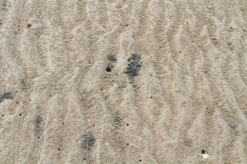 沙滩线条 特写