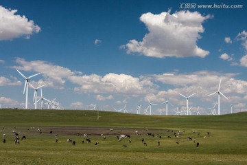辉腾锡勒草原 牛群 风力发电机