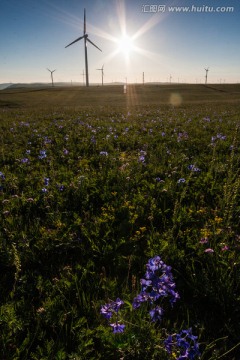 辉腾锡勒草原上的风力发电机
