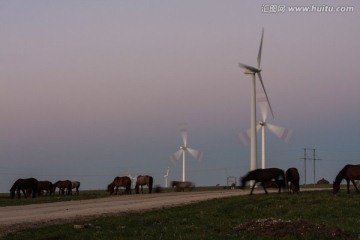 风力发电机与马群