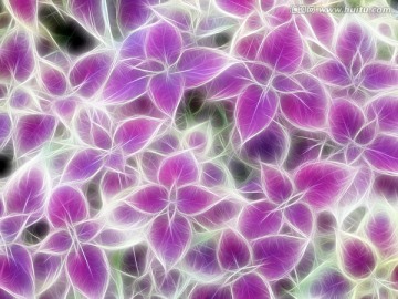 抽象纹植物图案 电脑画