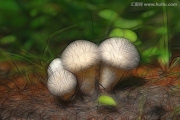 抽象蘑菇 电脑画