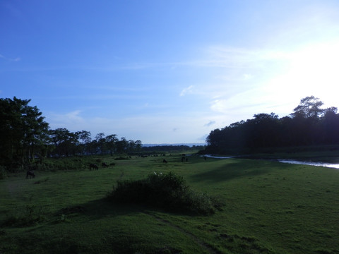 亚热带森林草原湿地