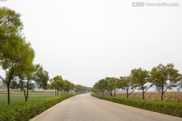 乡镇公路