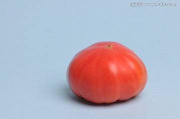 一个西红柿的特写