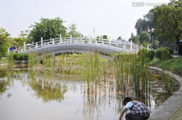 广州生物岛 拱桥