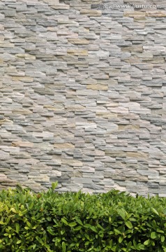 广州生物岛 石墙