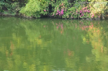 莲花山 湖光山色