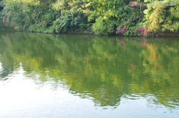 莲花山 湖光山色