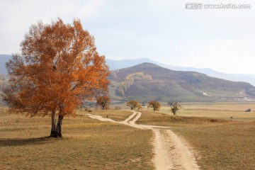 坝上风光 蛤蟆坝