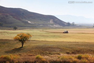 坝上风光 蛤蟆坝