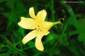 抽象花卉 电脑画