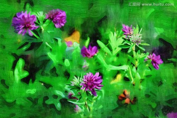 抽象花卉 电脑画