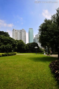 草坪