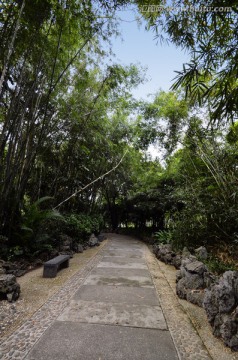 石板路