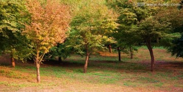 公园秋色