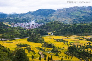 田园 稻田