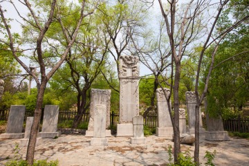 曹雪琴纪念馆 碑林