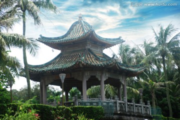 公园 凉亭 椰子树
