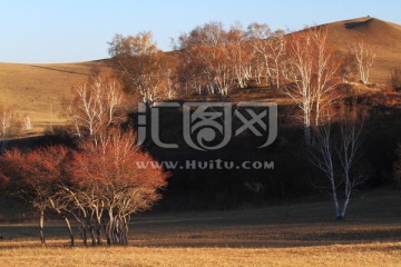 草原风光