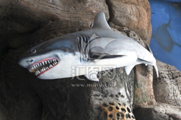 海洋馆 鲨鱼模型