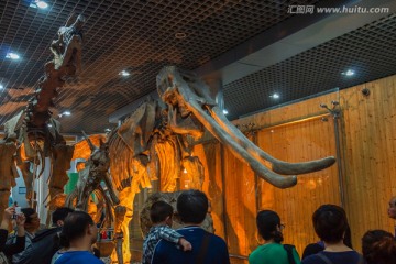 古生物化石展厅