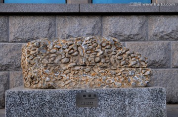 地质博物馆叠层石标本